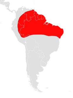 Distribución de Artibeus concolor