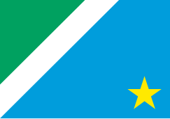 Bandeira do estado de Mato Grosso do Sul