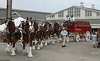 Vagão fabricado pela Studebaker puxado por cavalos