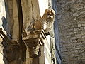 León de la entrada del Castello dell'Imperatore (Prato, Toscana).