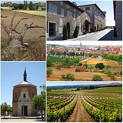 Images from Rueda, a typical village of the province of Valladolid.