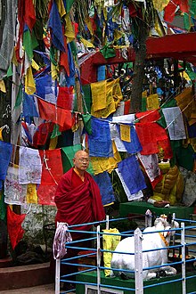 A Buddhist monk next to the entrance to the Mahakal temple complex. Nandi the sacred bull(Lord Shiva's vehicle on the bottom right)