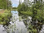 Utsikten i nordostlig riktning mot Gamla Bergsdammen från bron, som leder till Dikarbacken.