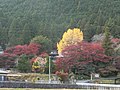 2018年10月27日 (土) 13:26時点における版のサムネイル