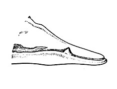 Adult male head, showing teeth.