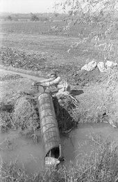 A water pump in Egypt from the 1950s which uses the Archimedes' screw mechanism Irrigation Pump in Egypt - 1950's (1).tif