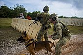 Pasukan RAAF dalam suatu latihan militer di Guam, 2019