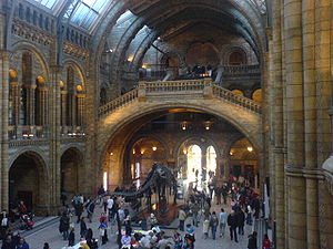 English: The Central Hall in Natural History M...