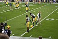 Packers secondary stretching before the game