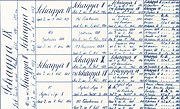 青インクで書かれた種牡馬 Shagya IX b.1895 の血統表