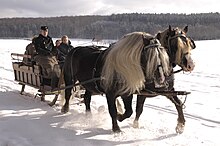 two dark horses with pale manes pulling a sled carrying a family