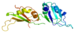Protein HNRPA1 PDB 1ha1.png