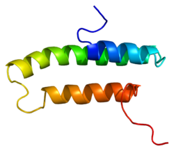 Protein LRPAP1 PDB 1lre.png