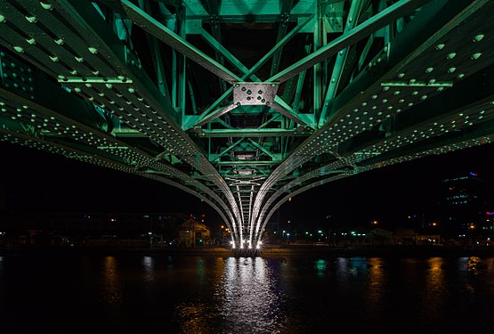 胡志明市霓橋夜景