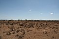 Paysage de la Réserve nationale de Samburu