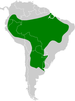 Distribución geográfica del pepitero grisáceo.