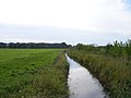 Eine weitere Ansicht der Fuhneaue zwischen Schortewitz und Mösthinsdorf