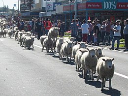 Distretto di Waitomo – Veduta