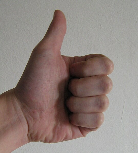 539px-Thumb-up.jpg