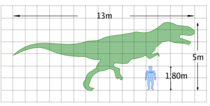 Tamaño de un humano en comparación con el del Tyrannosaurus rex.