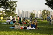 http://upload.wikimedia.org/wikipedia/commons/thumb/6/64/Typical_evening_in_Han_river_park_Seoul.jpg/180px-Typical_evening_in_Han_river_park_Seoul.jpg