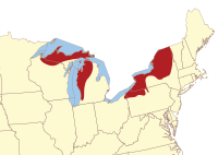 Lake-effect snow areas