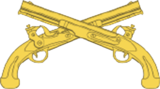 Branch insignia of the Military Police Corps