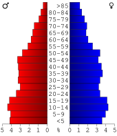 Bevolkingspiramide Turner County