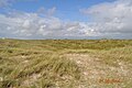 Übergang von Heide in Dünenlandschaft bei Vejers