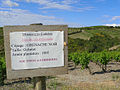 Vignoble produisant de l'AOC Fitou et Corbières