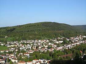 Wintersberg (Bad Orb).jpg