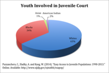 A demographic breakdown of youth involved in juvenile court in the United States. Youth Involved in Juvenile Court.png