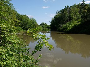 Mişa Nehri'nin bir manzarası