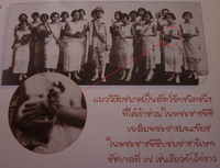 King Prajadhipok following his coronation day, surrounded by the court ladies carrying his regalia and what is today regarded as a Thai cat, the cat symbolises "domesticity".