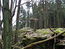 Teufelsfelsen