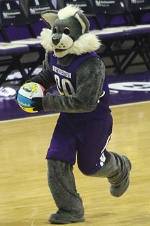 Northwestern University Mascot: Willie the Wildcat 20180206 UM-NW Willie the Wildcat 7DM27163.jpg