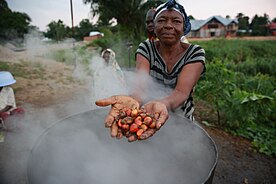 Palm oil production is done in some parts of the world artisanally, and the locally produced oil is used for food, handicrafts and other products. This woman in the Democratic Republic of the Congo is showing the palm fruit above a pot for processing the fruit. 2 janvier 2015. Kisangani, Province Orientale, RD Congo. Une femme prepare l'huile de palme utilisee pour la consommation alimentaire et la production de savon (16219900844).jpg