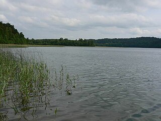 Almajas. Almajo ežeras netoli Ginučiai. Aukštaitijos nacionalinis parkas. Foto:Andrius.v