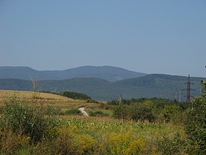 Борліїв Діл (на задньому плані). Вигляд із Закарпатської низовини