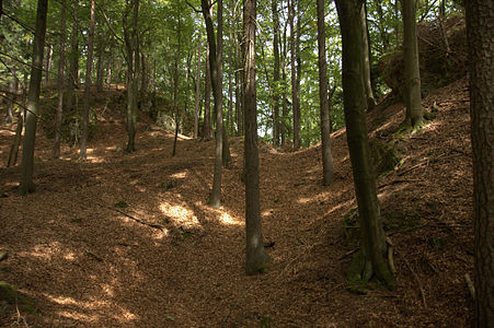 Bild 3: Blick in den Geländeeinschnitt mit dem Ringgraben, rechts der Burgfelsen