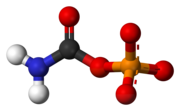 Karbamoylfosfát