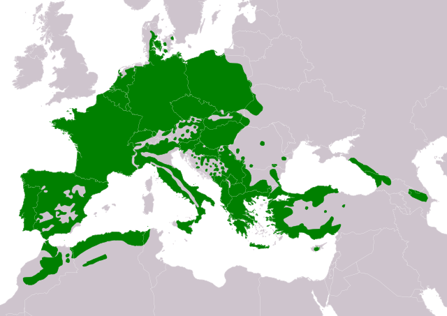 Natura arealo

﻿ Ĉiujare prezencoj