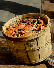 Chesapeake Bay Crabs