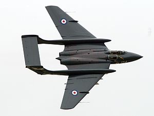 De Havilland Sea Vixen at Yeovilton 2009.JPG