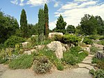 Denver Botanic Gardens - DSC01024.JPG