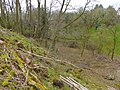 Diefflen, Hang- und Gräthenzone, Gewann „Auf der obersten Bach“, Flur 4, Blickrichtung Süden nach dem Gewann „Auf der Scheib“, Flur 5