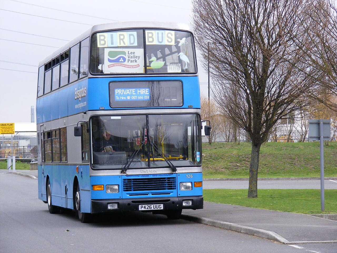 Bird Bus