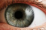 Iris de un ojo humano