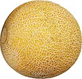 加利亞甜瓜（英语：Galia melon）