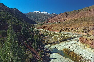 Along the river